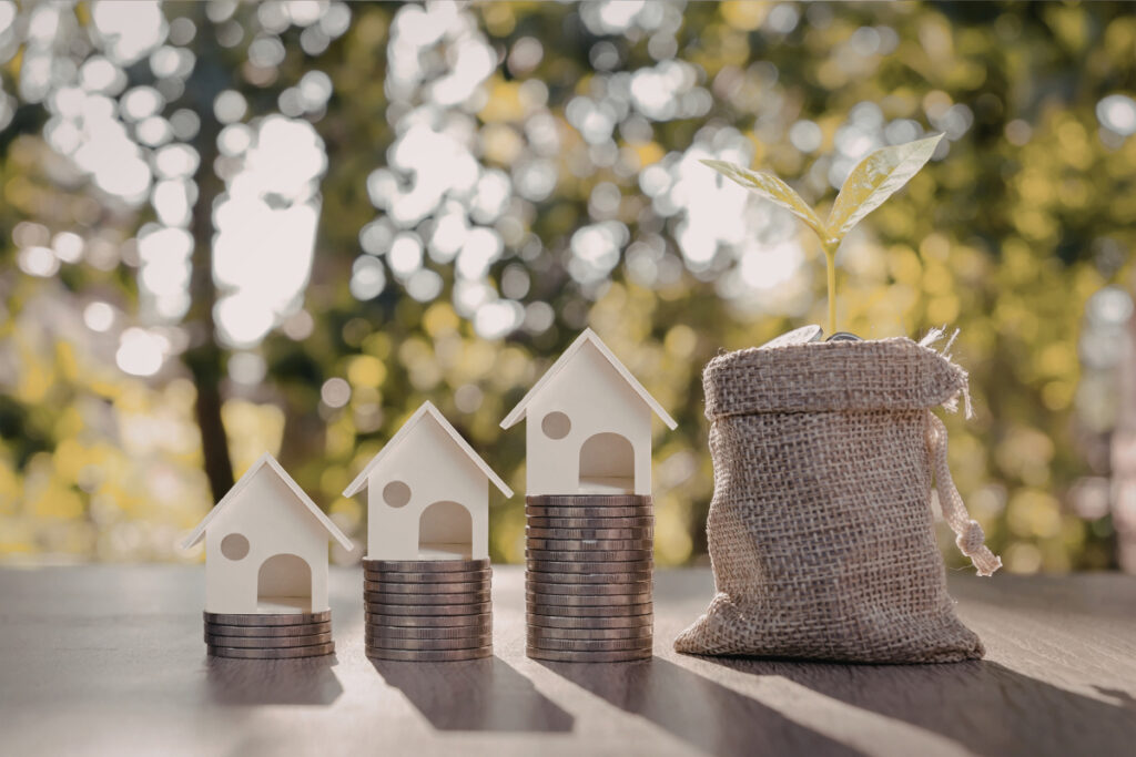 Investment Growth